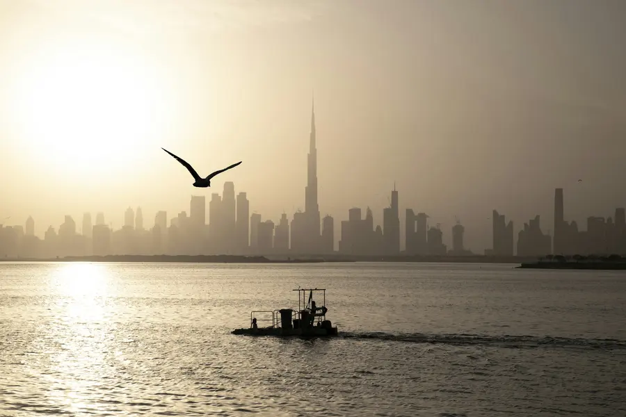 Morgenlicht über dem Wasser und der Skyline von Downtown