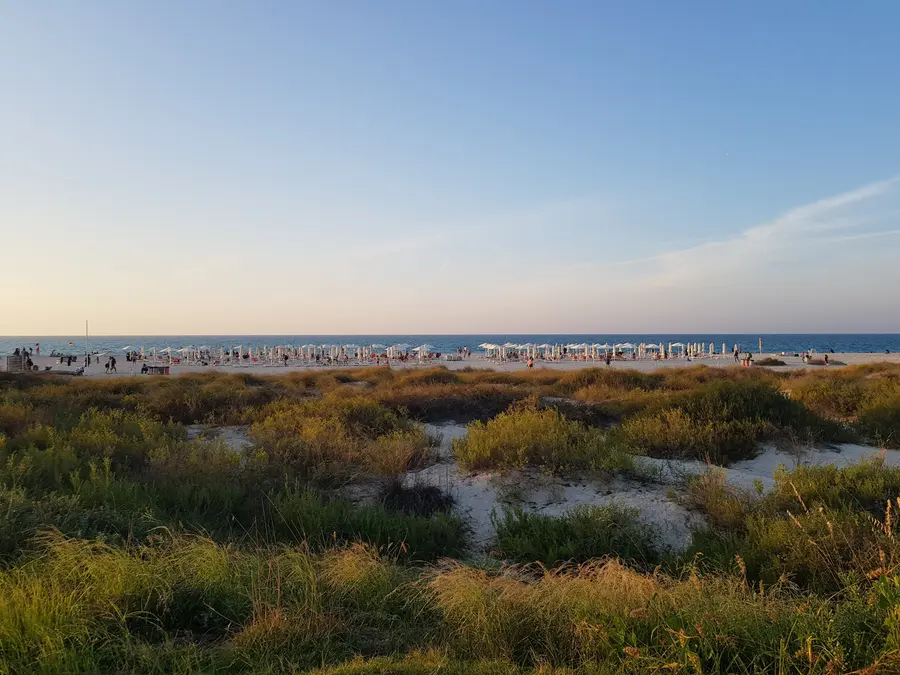 Saadiyat Island, fotografia 4